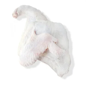 سینه بوقلمون (1 کیلوگرم)